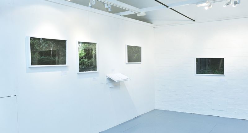 © Monica Takvam - Installation shot, Fieldwork and Other Landscape Stories, Watts Contemporary Gallery, 2017
