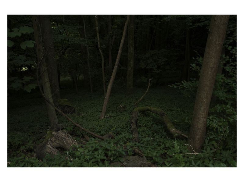 © Monica Takvam - Vista 6 from Fieldwork and Other Landscape Stories, Archival C-type photographic print, wooden box frame