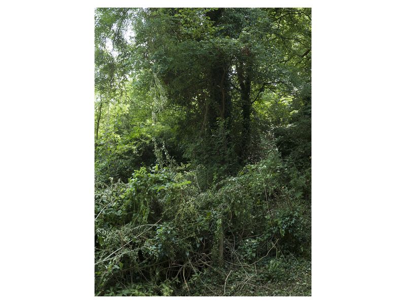 © Monica Takvam - Vista 11 from Fieldwork and Other Landscape Stories, Archival C-type photographic print, wooden box frame
