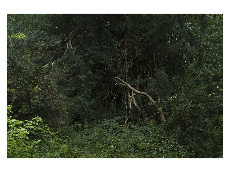 © Monica Takvam - Vista 9 from Fieldwork and Other Landscape Stories, Archival C-type photographic print, wooden box frame