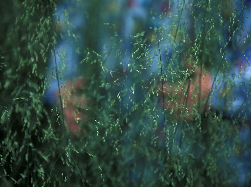 © Michal Iwanowski - From 'Minus The Mother'