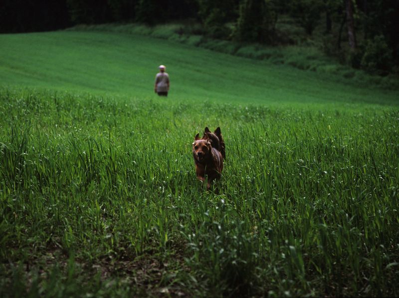 © Michal Iwanowski - From 'Minus The Mother'