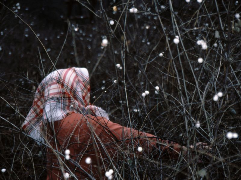 © Michal Iwanowski - From 'Minus The Mother'