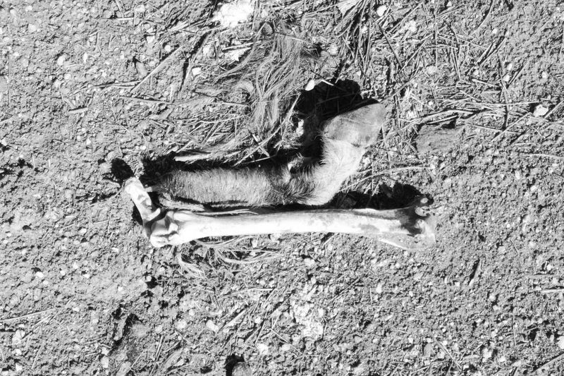 © Julia Bohle - Image from the This Place was a Desert photography project