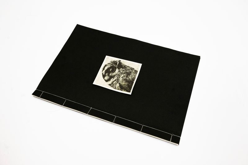 © Julia Bohle - Image from the This Place was a Desert photography project