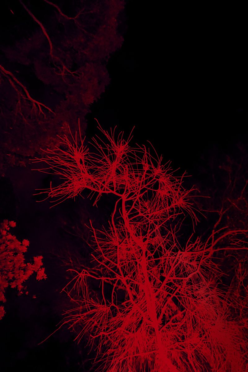 © Julia Bohle - Image from the This Place was a Desert photography project