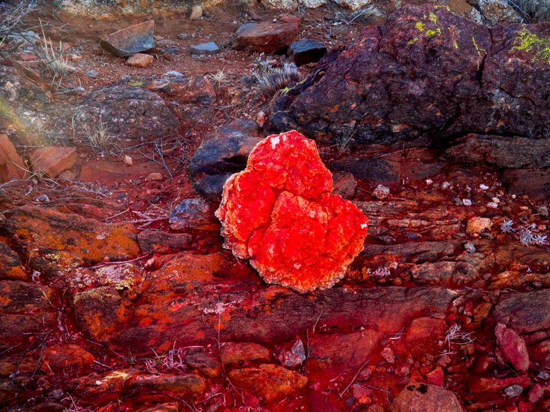 © Julia Bohle - Image from the This Place was a Desert photography project