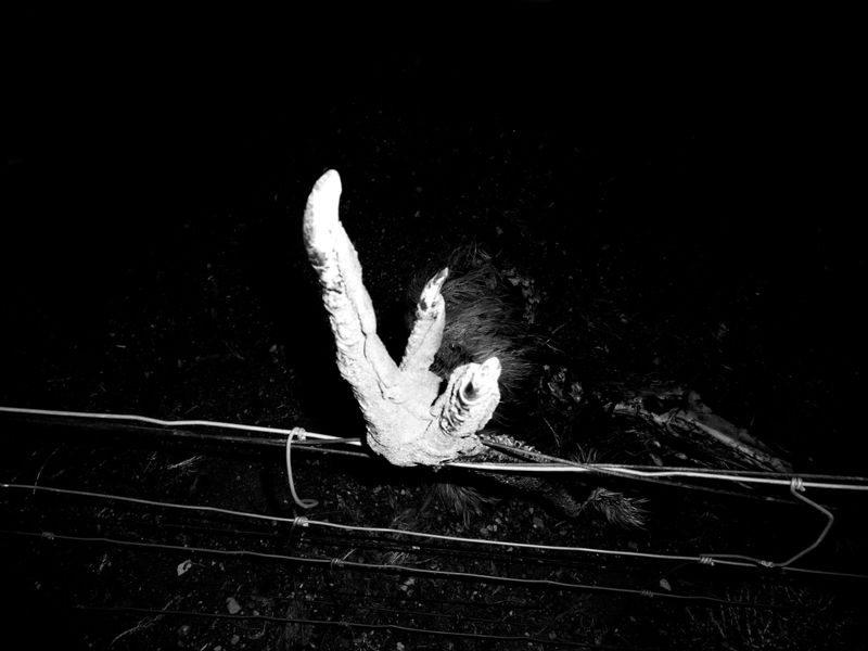 © Julia Bohle - Image from the This Place was a Desert photography project