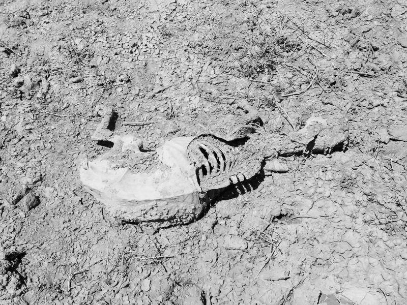 © Julia Bohle - Image from the This Place was a Desert photography project