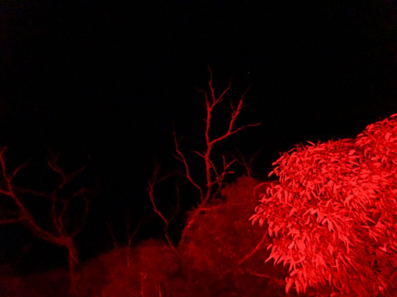 © Julia Bohle - Image from the This Place was a Desert photography project