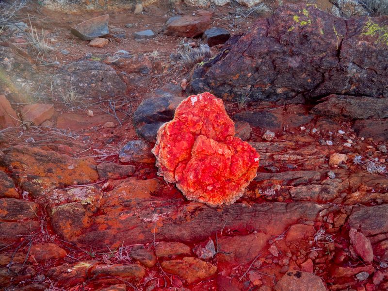 © Julia Bohle - Image from the This Place was a Desert photography project