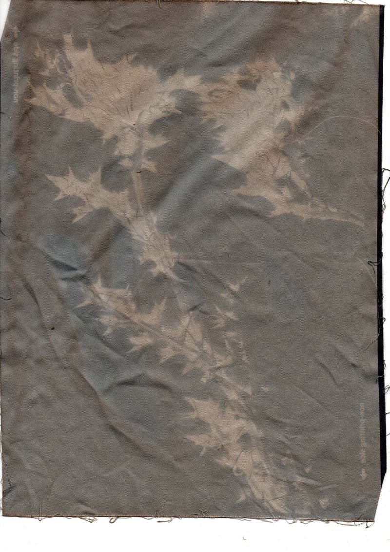 © Julia Bohle - Image from the This Place was a Desert photography project