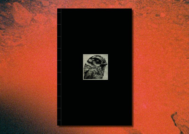 © Julia Bohle - Image from the This Place was a Desert photography project