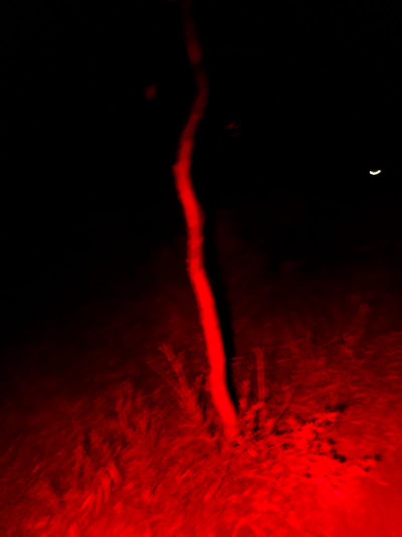 © Julia Bohle - Image from the This Place was a Desert photography project