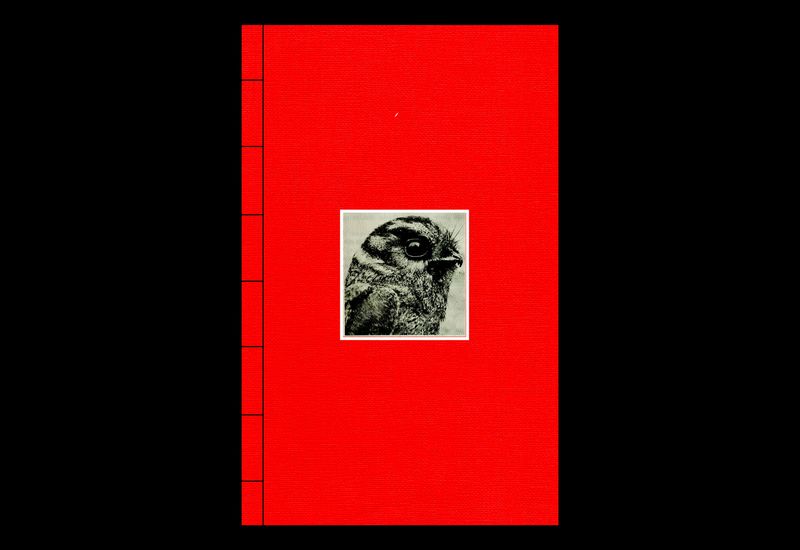 © Julia Bohle - Image from the This Place was a Desert photography project