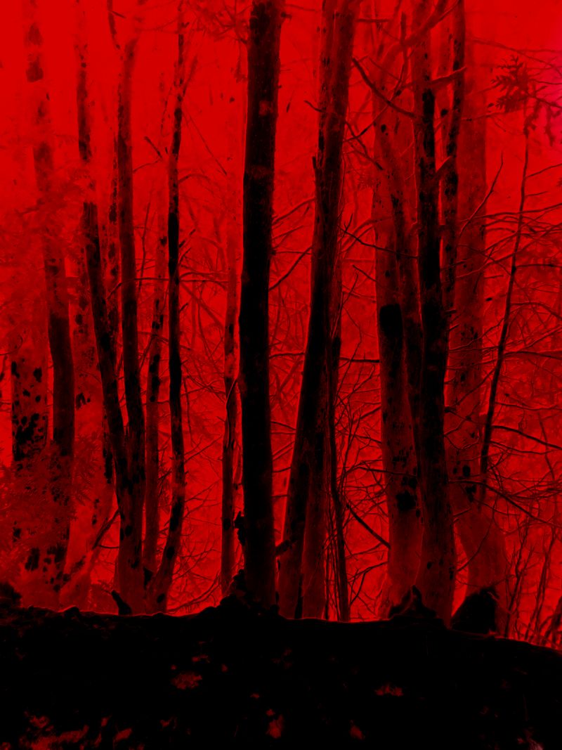 © Julia Bohle - Image from the AFTERMATH photography project