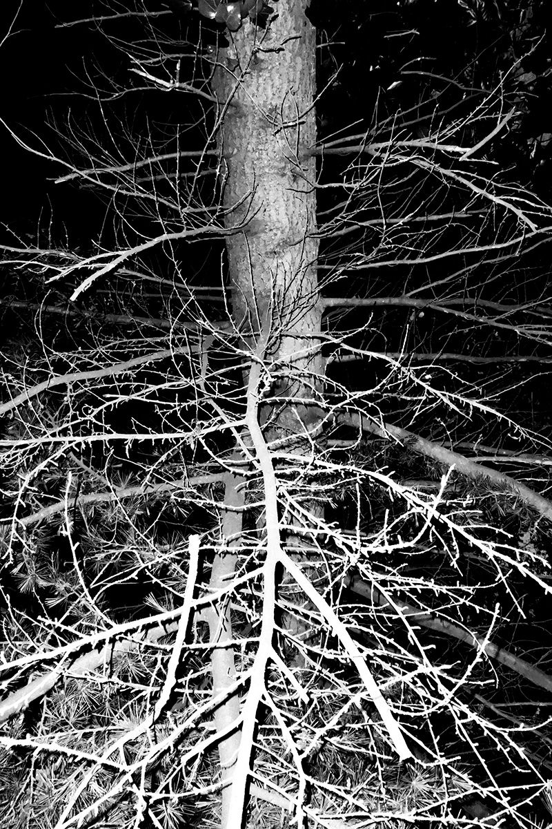 © Julia Bohle - Image from the AFTERMATH photography project