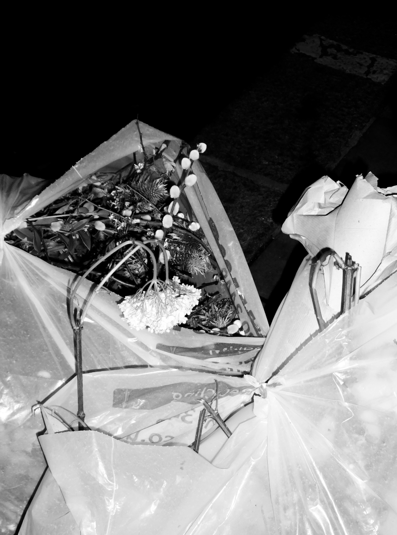 © Julia Bohle - Image from the AFTERMATH photography project