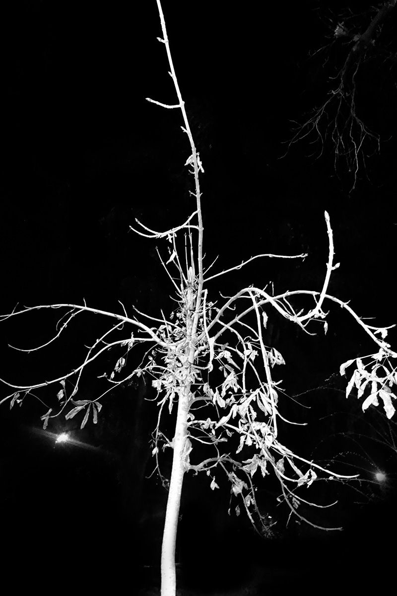 © Julia Bohle - Image from the AFTERMATH photography project