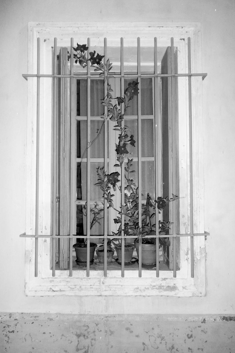 © Julia Bohle - Image from the AFTERMATH photography project