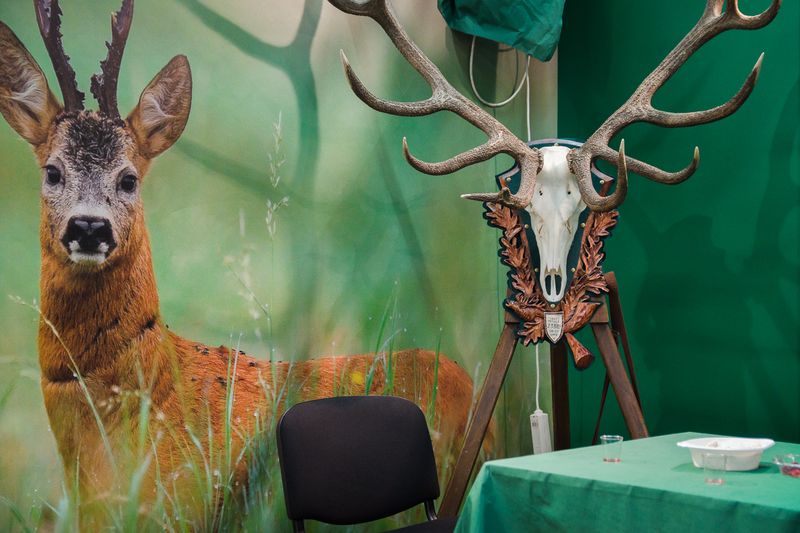 © Robert Rutoed - Hunting Fair