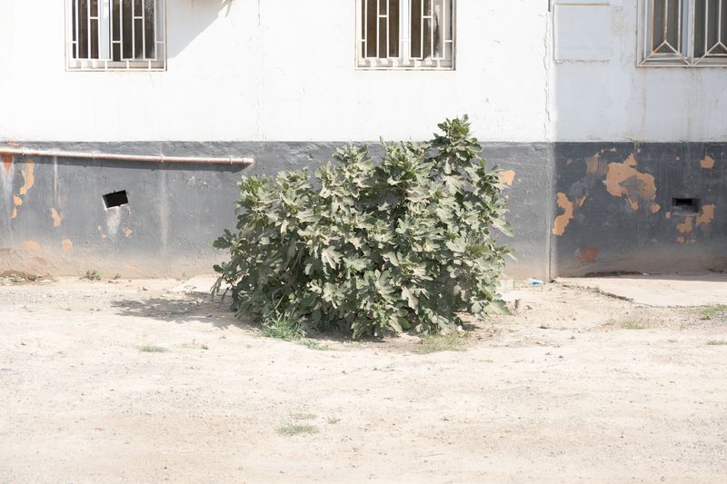 © Mayya Kelova - Image from the Fabric of Home photography project