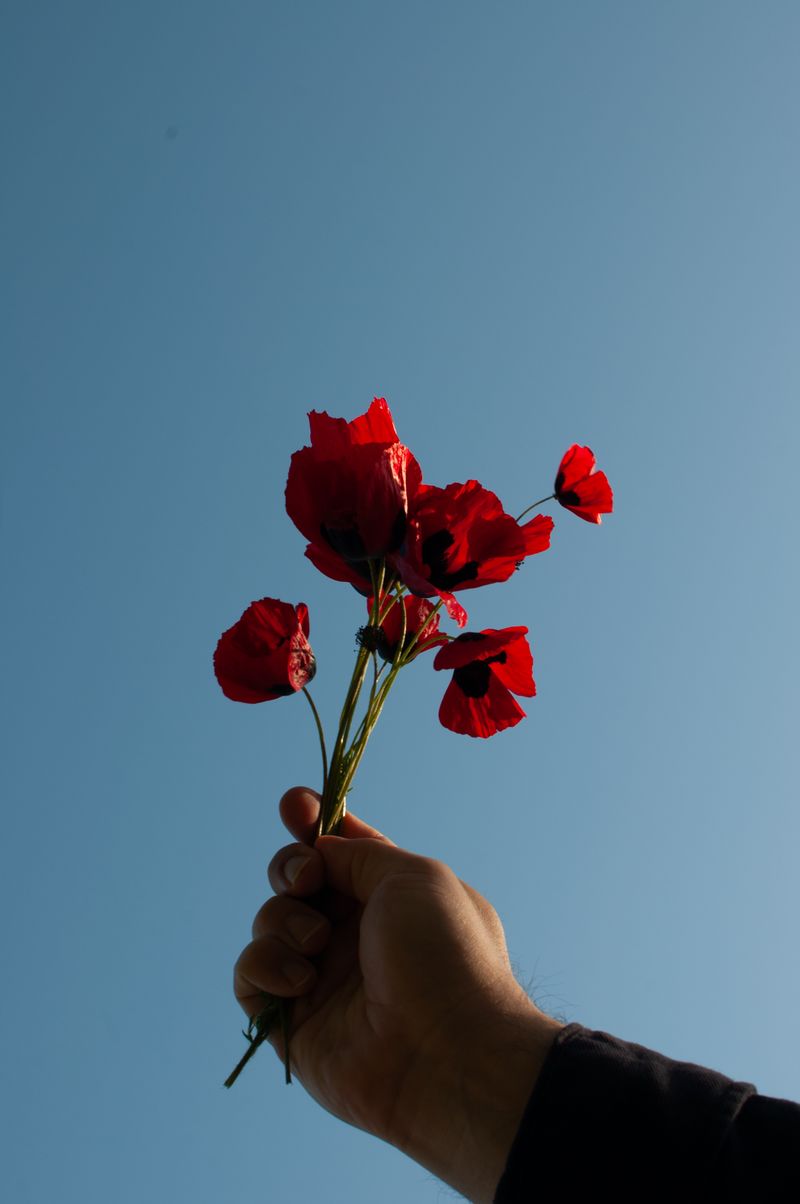 © Mayya Kelova - Image from the Fabric of Home photography project