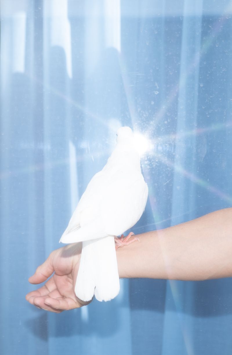 © Mayya Kelova - Image from the Fabric of Home photography project