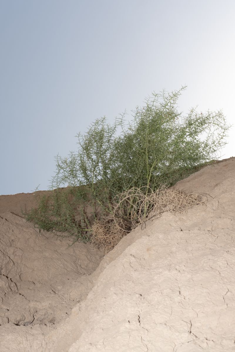 © Mayya Kelova - Image from the Fabric of Home photography project