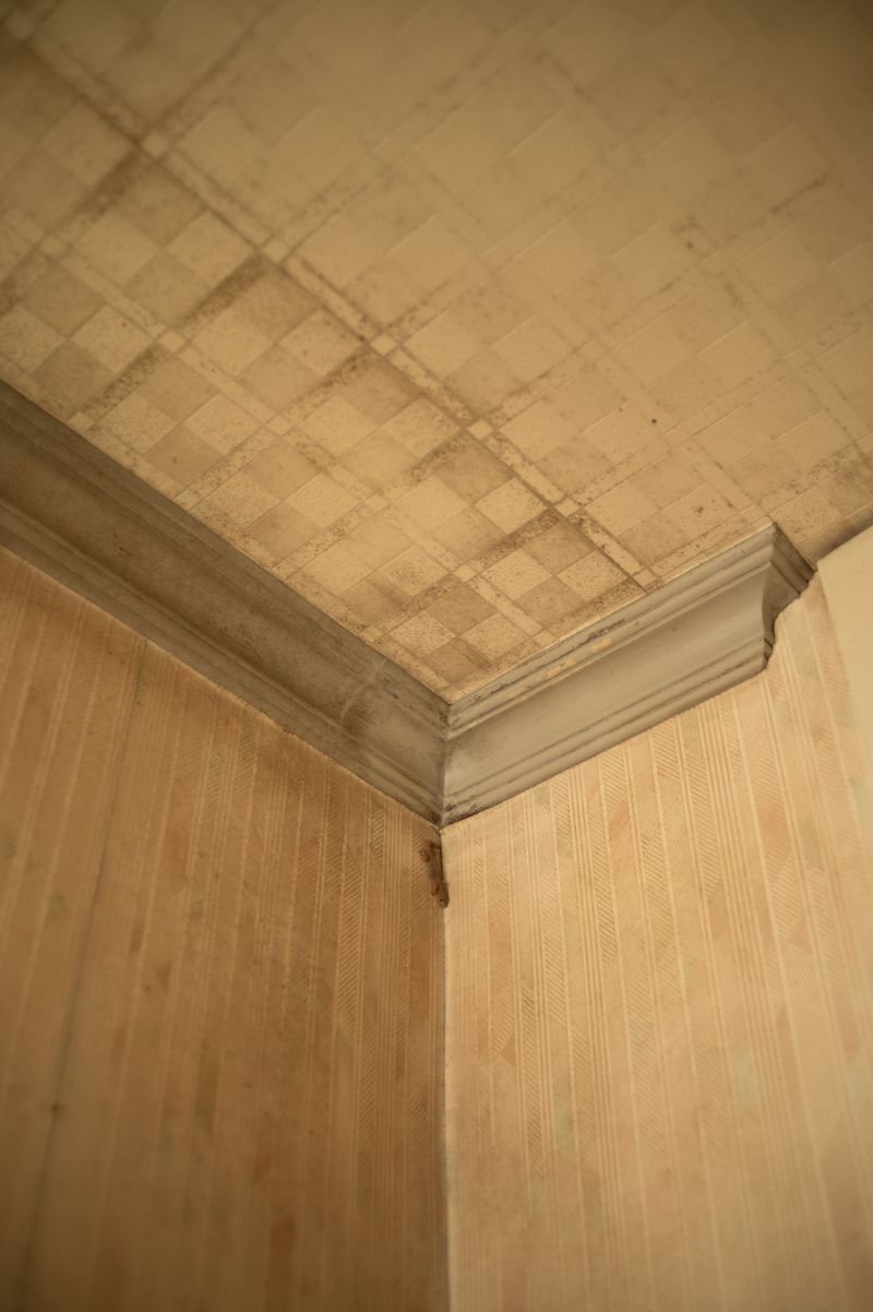 © Linda Cheung - Image from the Condo Convos photography project