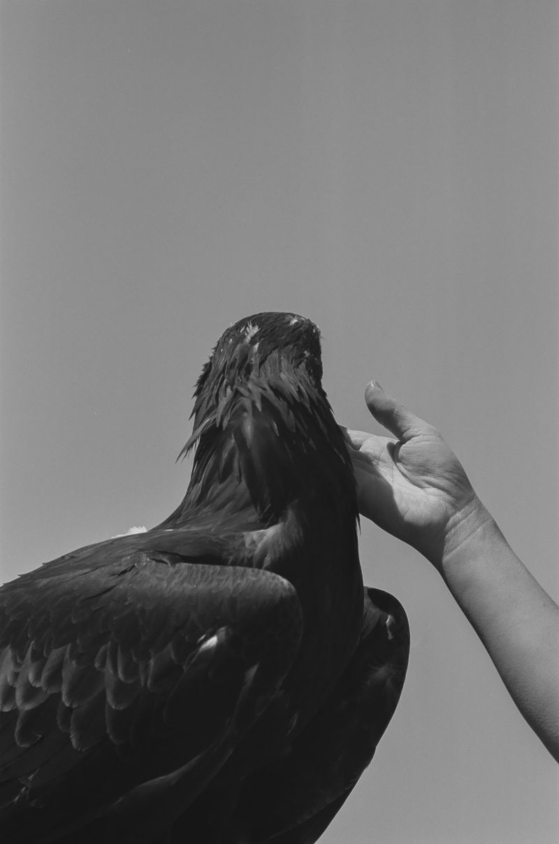 © Matt Dunne - Image from the The Killing Sink photography project