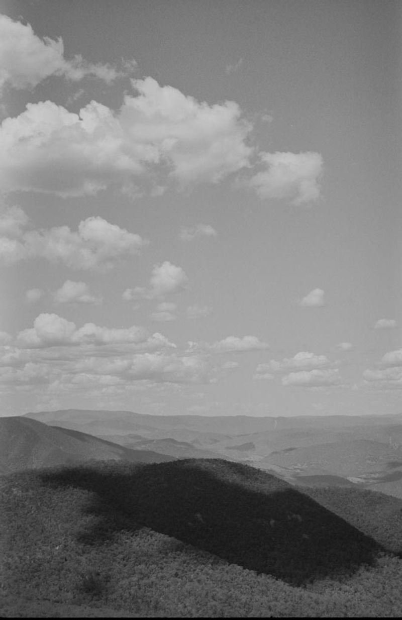 © Matt Dunne - 400 Eagles kill here