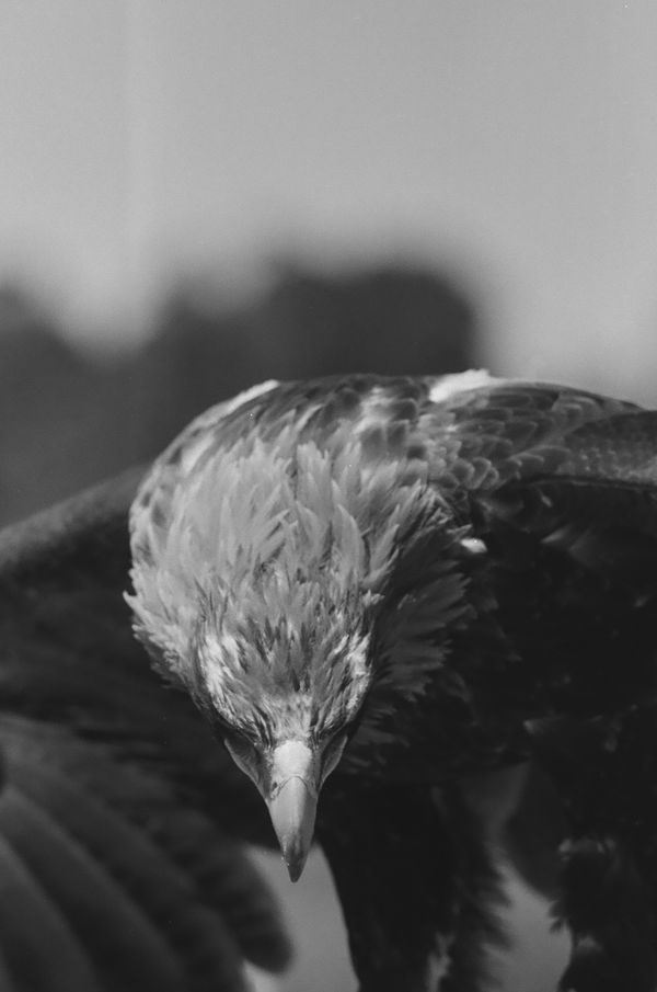 © Matt Dunne - Image from the The Killing Sink photography project