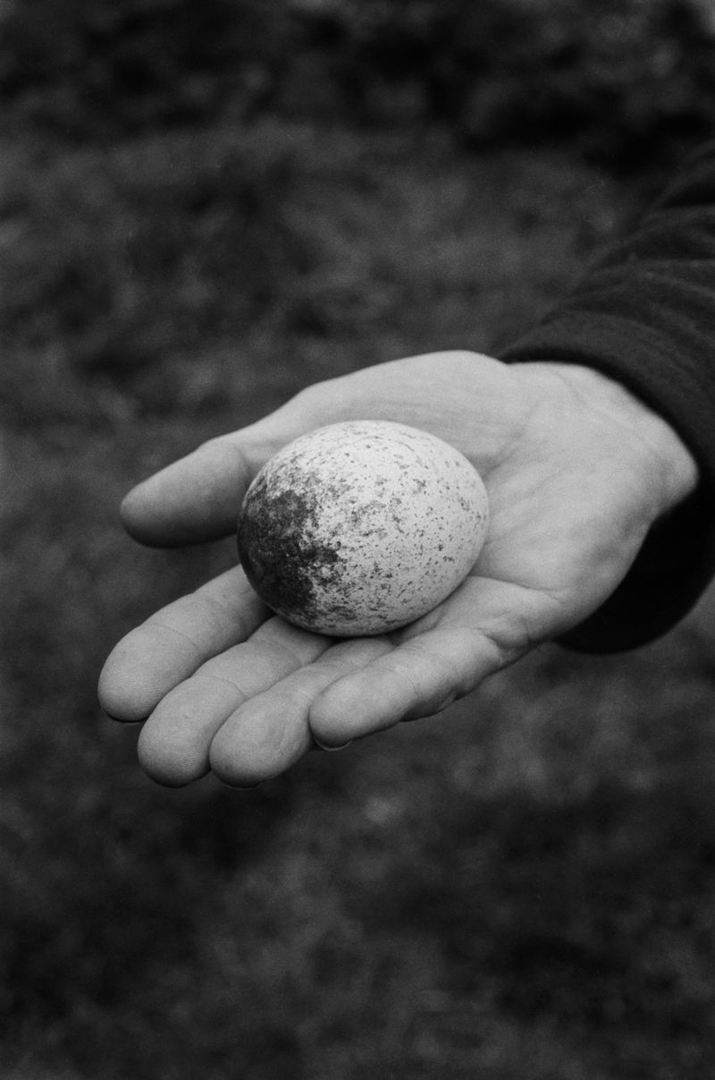 © Matt Dunne - Image from the The Killing Sink photography project