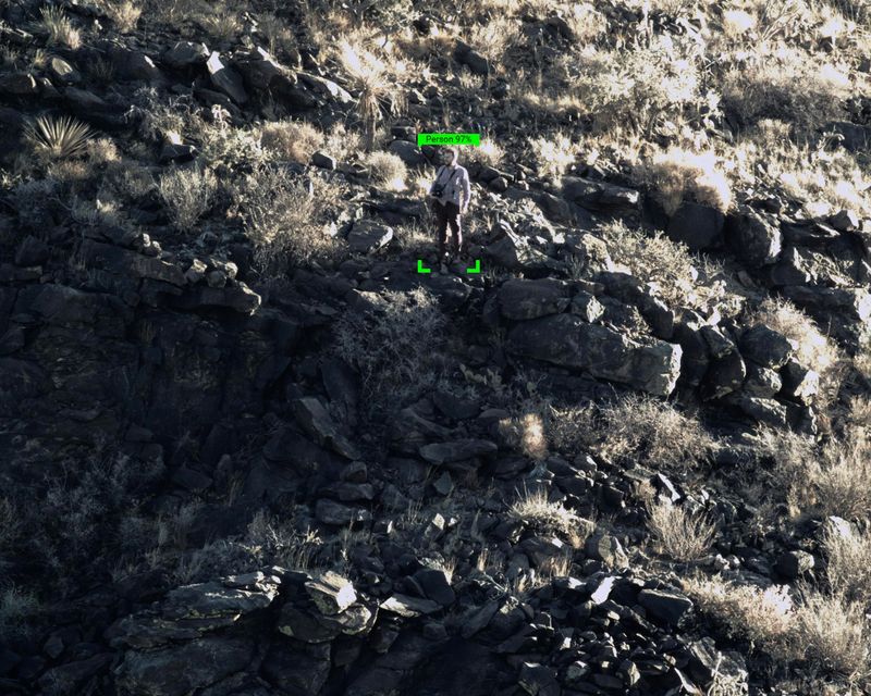 © Benjamin Rasmussen - Tower photograph with artificial intelligence identification. Jeff Davis County, Texas