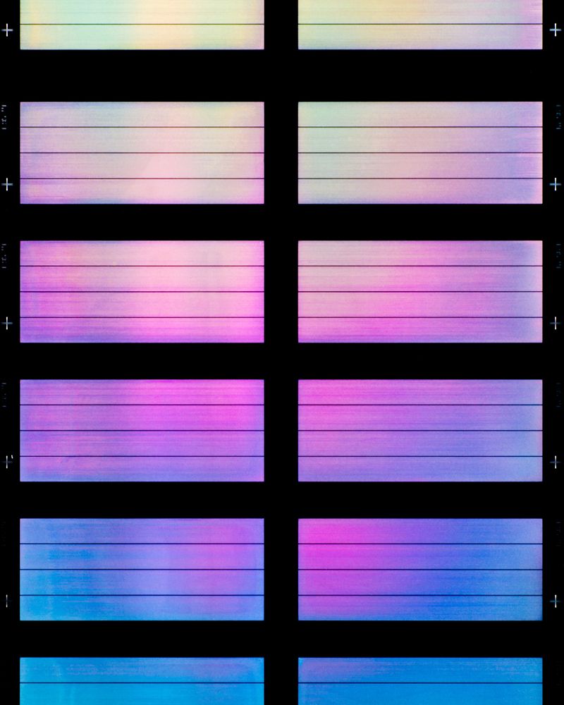 © Benjamin Rasmussen - Slides each holding the DNA profiles of twenty-four customers. Family Tree DNA, Houston, Texas