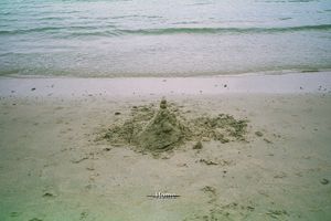 No Home to Land