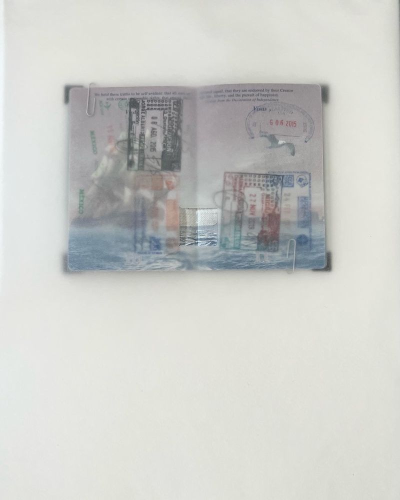 © Vivian Poey - US passport (me), 2015