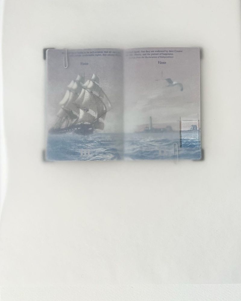 © Vivian Poey - US Passport (Cami), 2015