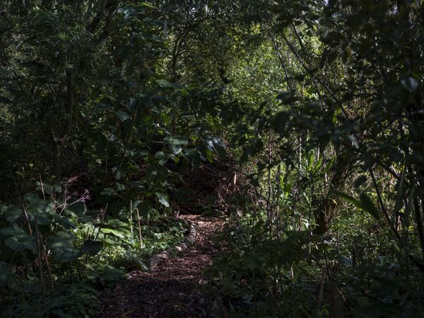 © Marjolein Vinkenoog - Image from the Where the city touches the earth photography project