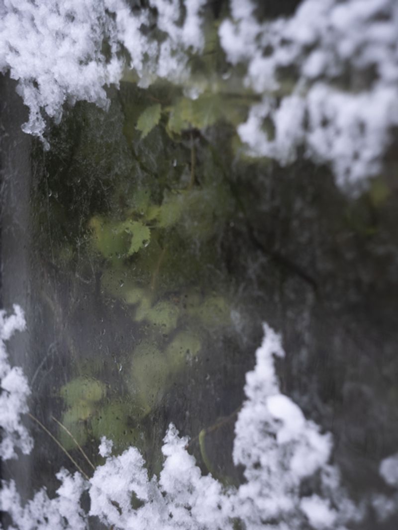 © Marjolein Vinkenoog - Image from the Where the city touches the earth photography project