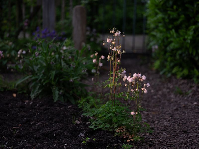 © Marjolein Vinkenoog - Image from the Where the city touches the earth photography project