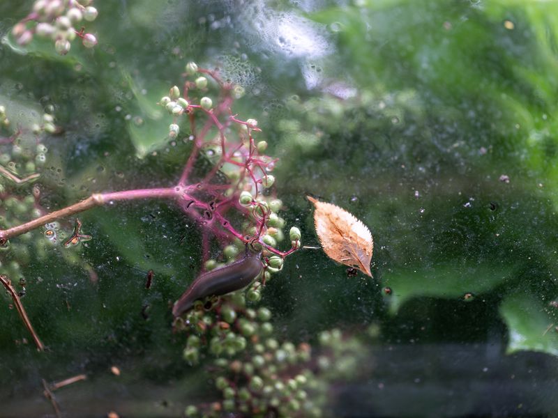 © Marjolein Vinkenoog - Image from the Where the city touches the earth photography project