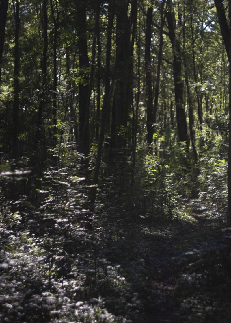 © Marjolein Vinkenoog - Image from the Where the city touches the earth photography project