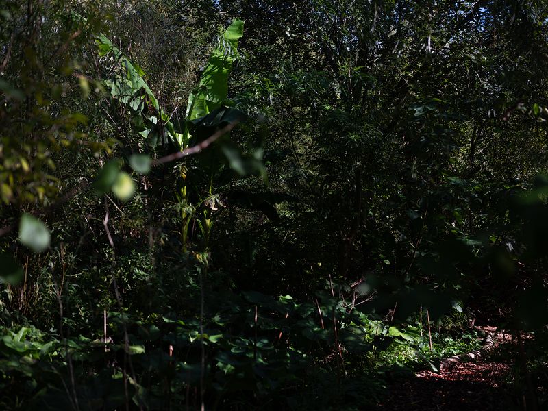 © Marjolein Vinkenoog - Image from the Where the city touches the earth photography project