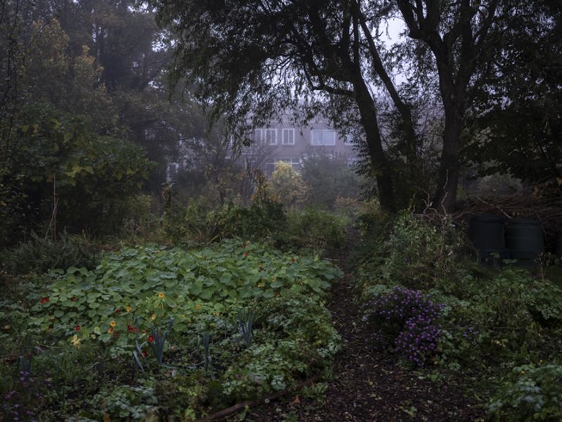 © Marjolein Vinkenoog - Image from the Where the city touches the earth photography project
