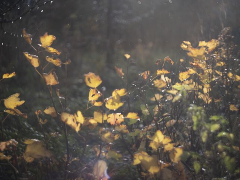 © Marjolein Vinkenoog - Image from the Where the city touches the earth photography project