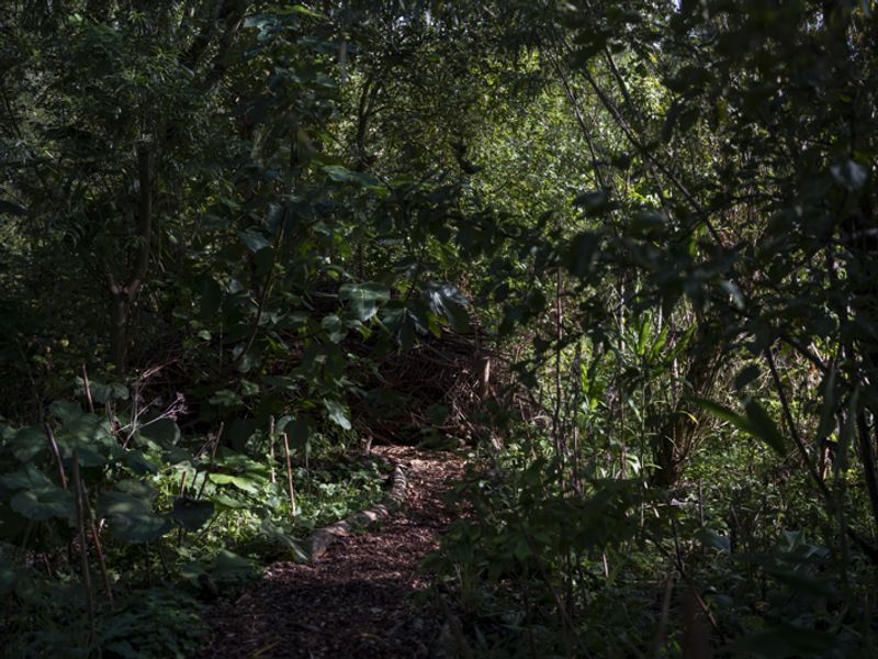© Marjolein Vinkenoog - Image from the Where the city touches the earth photography project