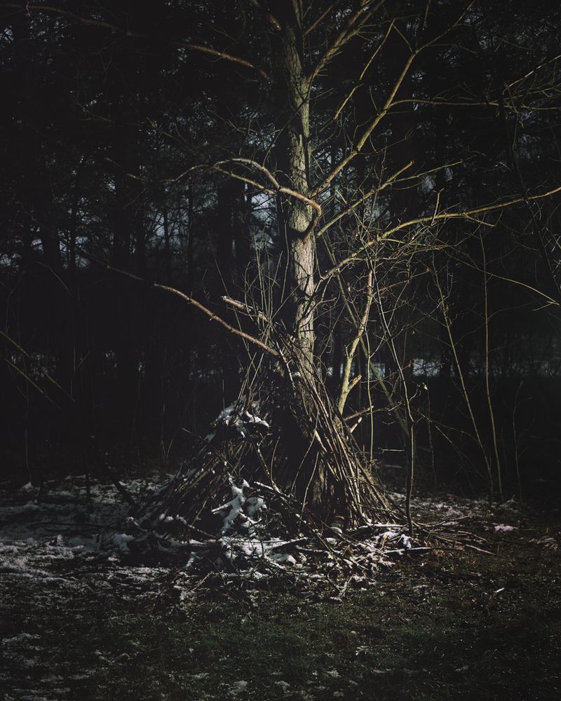 © Ania Sudbin - Image from the Under trees photography project