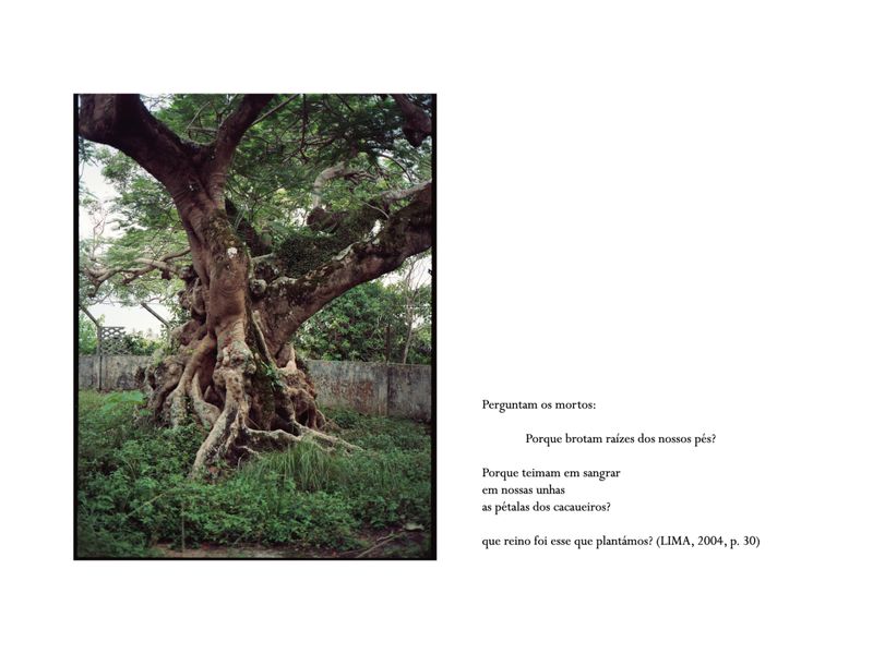 © Maria Beatriz de Vilhena - Image from the Stolen Ink From The Equator Line photography project